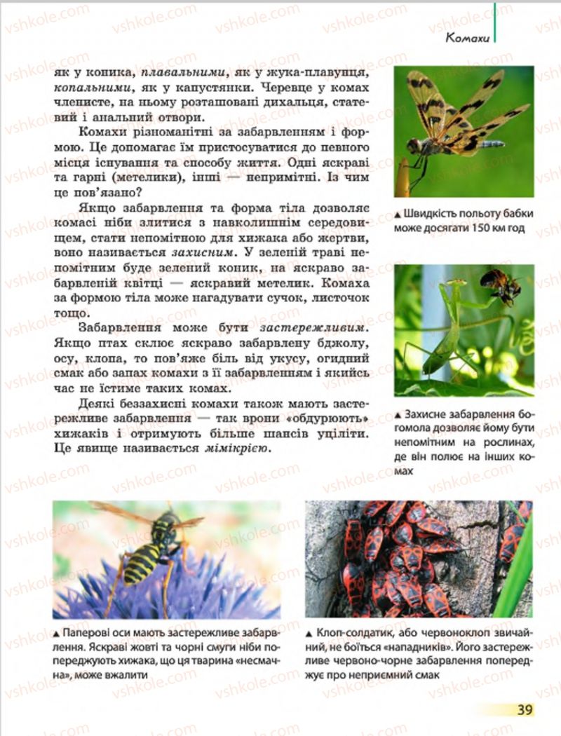 Страница 39 | Підручник Біологія 7 клас Н.В. Запорожець, І.І. Черевань, І.А. Воронцова 2015