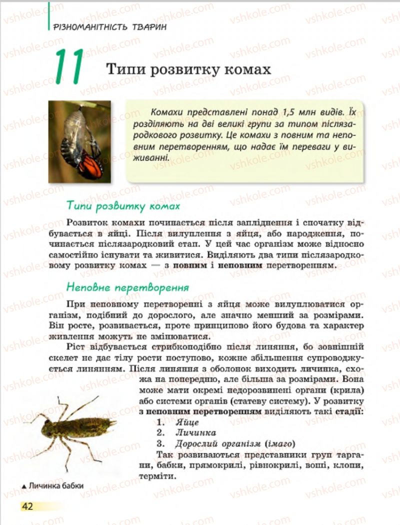 Страница 42 | Підручник Біологія 7 клас Н.В. Запорожець, І.І. Черевань, І.А. Воронцова 2015