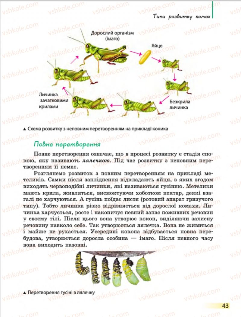 Страница 43 | Підручник Біологія 7 клас Н.В. Запорожець, І.І. Черевань, І.А. Воронцова 2015