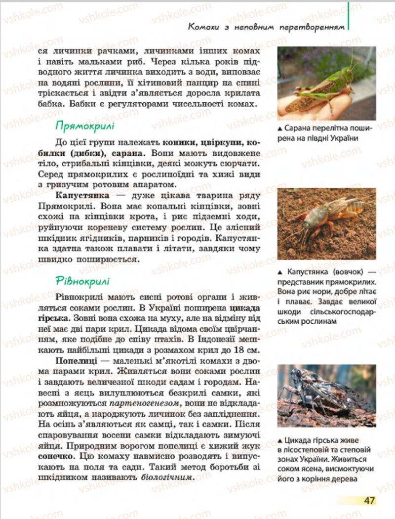 Страница 47 | Підручник Біологія 7 клас Н.В. Запорожець, І.І. Черевань, І.А. Воронцова 2015