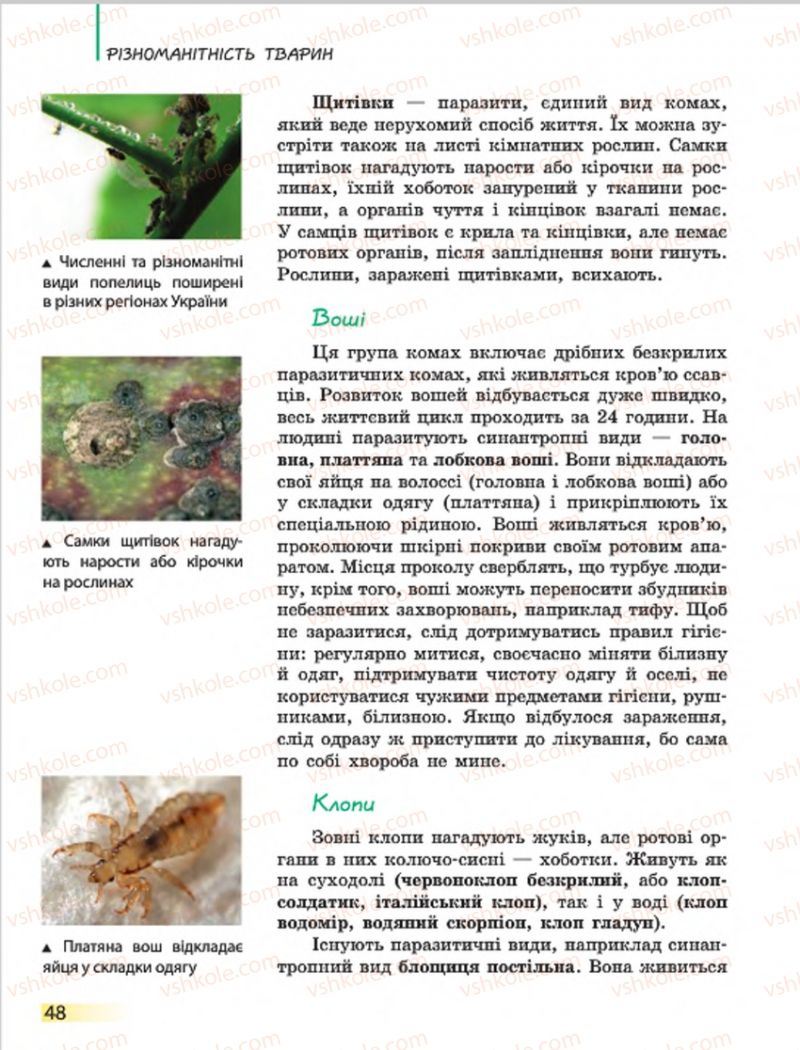 Страница 48 | Підручник Біологія 7 клас Н.В. Запорожець, І.І. Черевань, І.А. Воронцова 2015