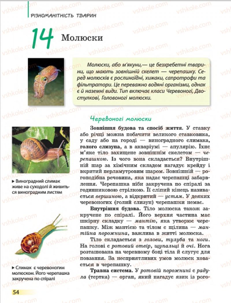 Страница 54 | Підручник Біологія 7 клас Н.В. Запорожець, І.І. Черевань, І.А. Воронцова 2015