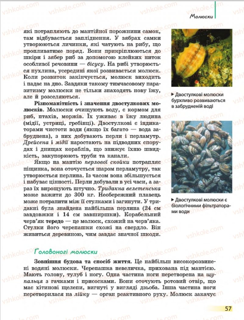 Страница 57 | Підручник Біологія 7 клас Н.В. Запорожець, І.І. Черевань, І.А. Воронцова 2015