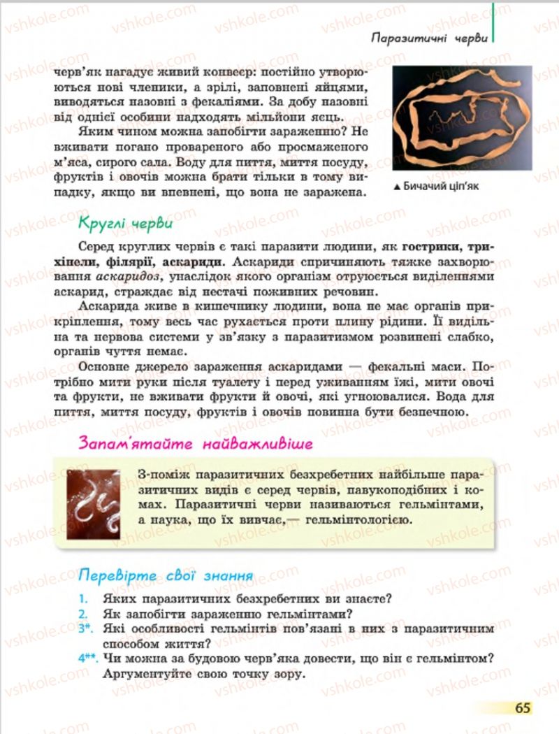 Страница 65 | Підручник Біологія 7 клас Н.В. Запорожець, І.І. Черевань, І.А. Воронцова 2015
