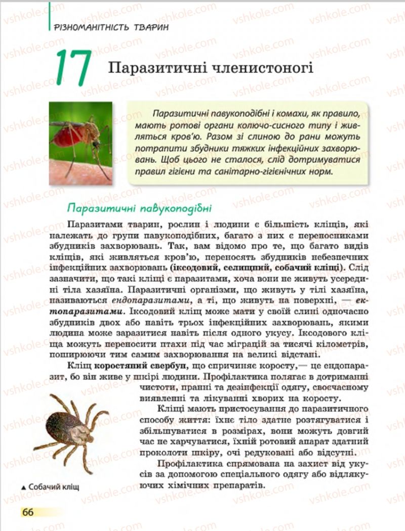 Страница 66 | Підручник Біологія 7 клас Н.В. Запорожець, І.І. Черевань, І.А. Воронцова 2015