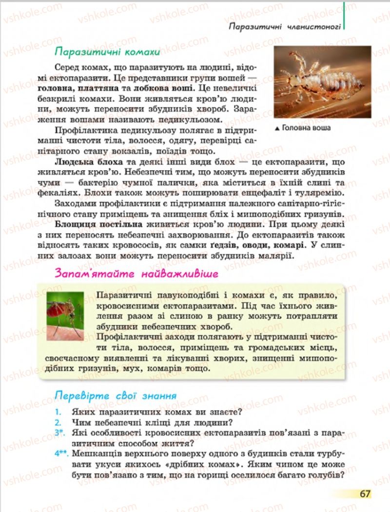 Страница 67 | Підручник Біологія 7 клас Н.В. Запорожець, І.І. Черевань, І.А. Воронцова 2015