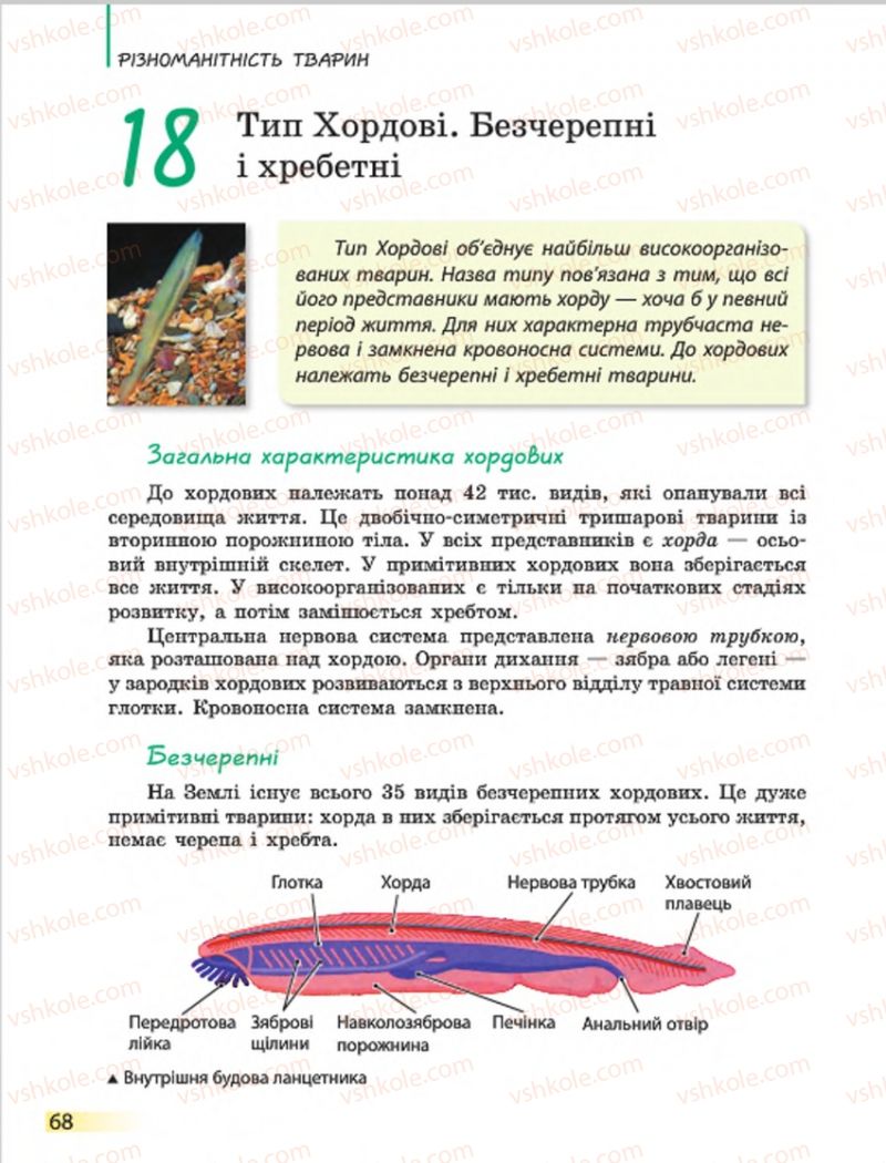 Страница 68 | Підручник Біологія 7 клас Н.В. Запорожець, І.І. Черевань, І.А. Воронцова 2015