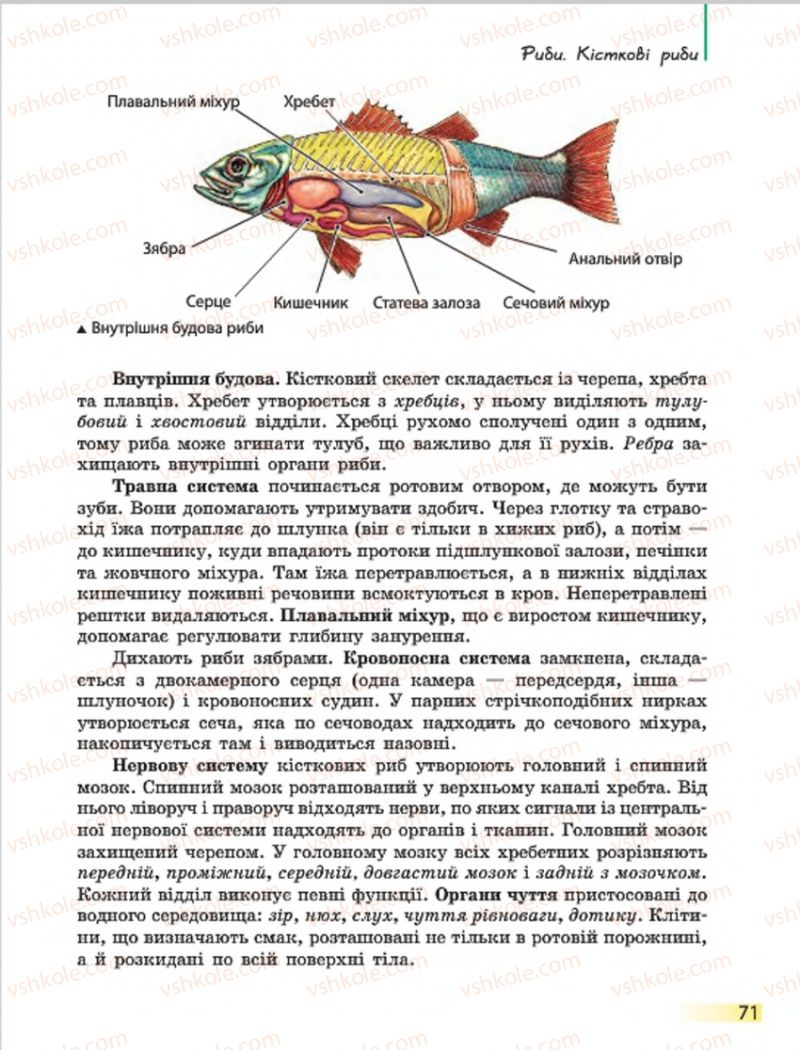 Страница 71 | Підручник Біологія 7 клас Н.В. Запорожець, І.І. Черевань, І.А. Воронцова 2015