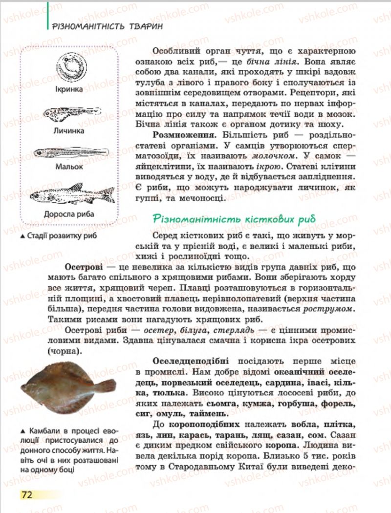 Страница 72 | Підручник Біологія 7 клас Н.В. Запорожець, І.І. Черевань, І.А. Воронцова 2015