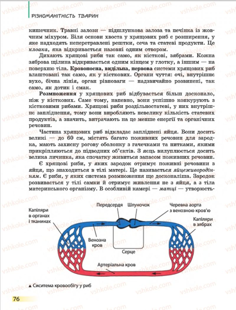 Страница 76 | Підручник Біологія 7 клас Н.В. Запорожець, І.І. Черевань, І.А. Воронцова 2015