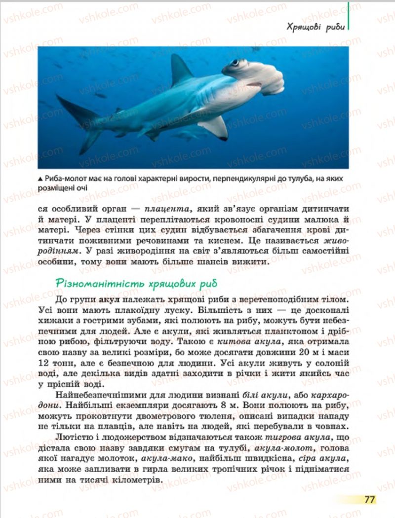 Страница 77 | Підручник Біологія 7 клас Н.В. Запорожець, І.І. Черевань, І.А. Воронцова 2015