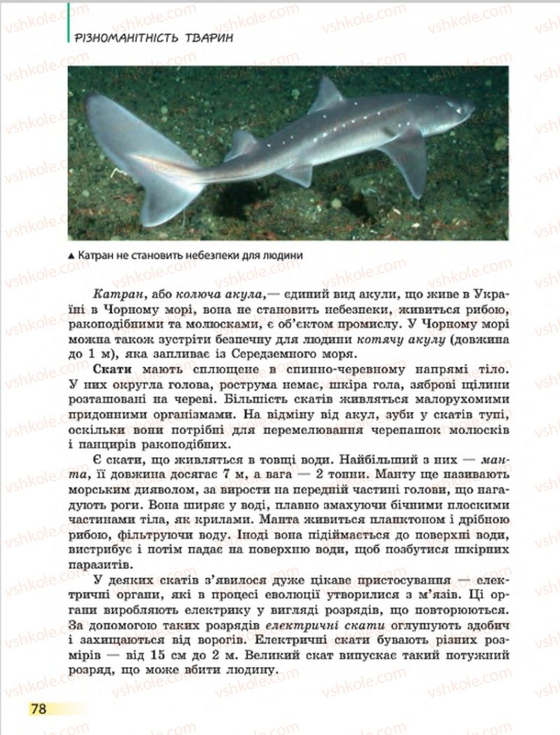Страница 78 | Підручник Біологія 7 клас Н.В. Запорожець, І.І. Черевань, І.А. Воронцова 2015