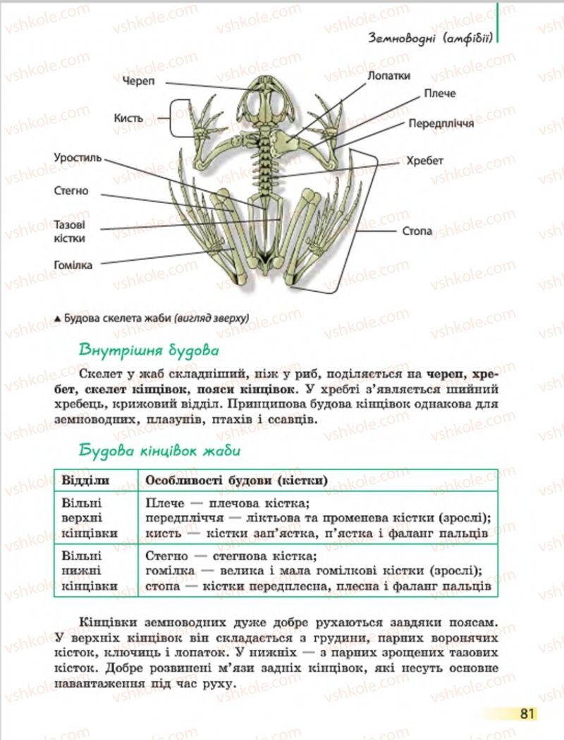 Страница 81 | Підручник Біологія 7 клас Н.В. Запорожець, І.І. Черевань, І.А. Воронцова 2015