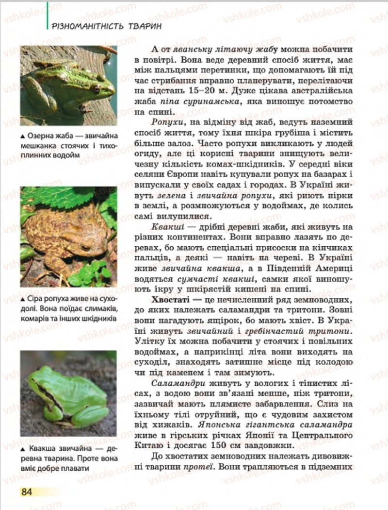 Страница 84 | Підручник Біологія 7 клас Н.В. Запорожець, І.І. Черевань, І.А. Воронцова 2015