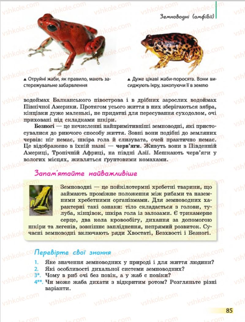 Страница 85 | Підручник Біологія 7 клас Н.В. Запорожець, І.І. Черевань, І.А. Воронцова 2015