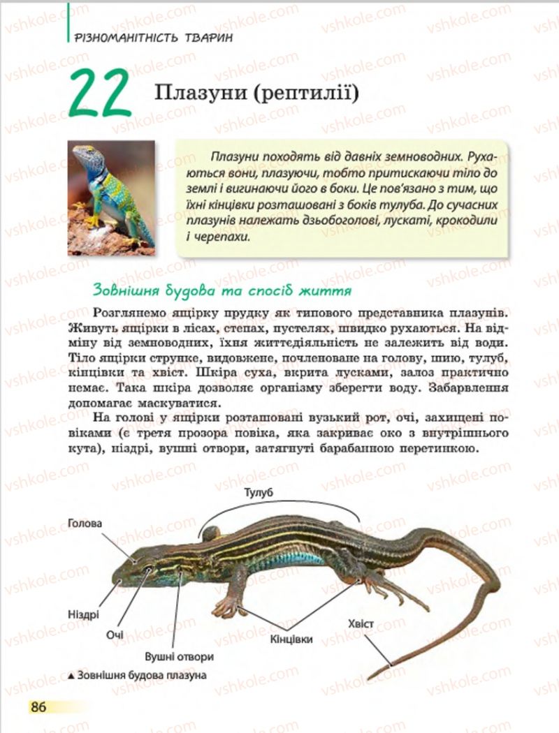 Страница 86 | Підручник Біологія 7 клас Н.В. Запорожець, І.І. Черевань, І.А. Воронцова 2015