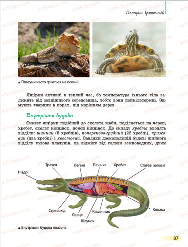 Страница 87 | Підручник Біологія 7 клас Н.В. Запорожець, І.І. Черевань, І.А. Воронцова 2015