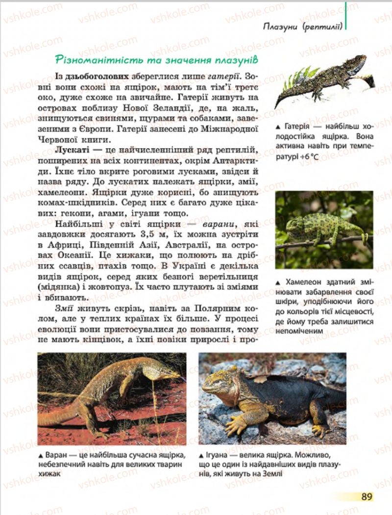Страница 89 | Підручник Біологія 7 клас Н.В. Запорожець, І.І. Черевань, І.А. Воронцова 2015
