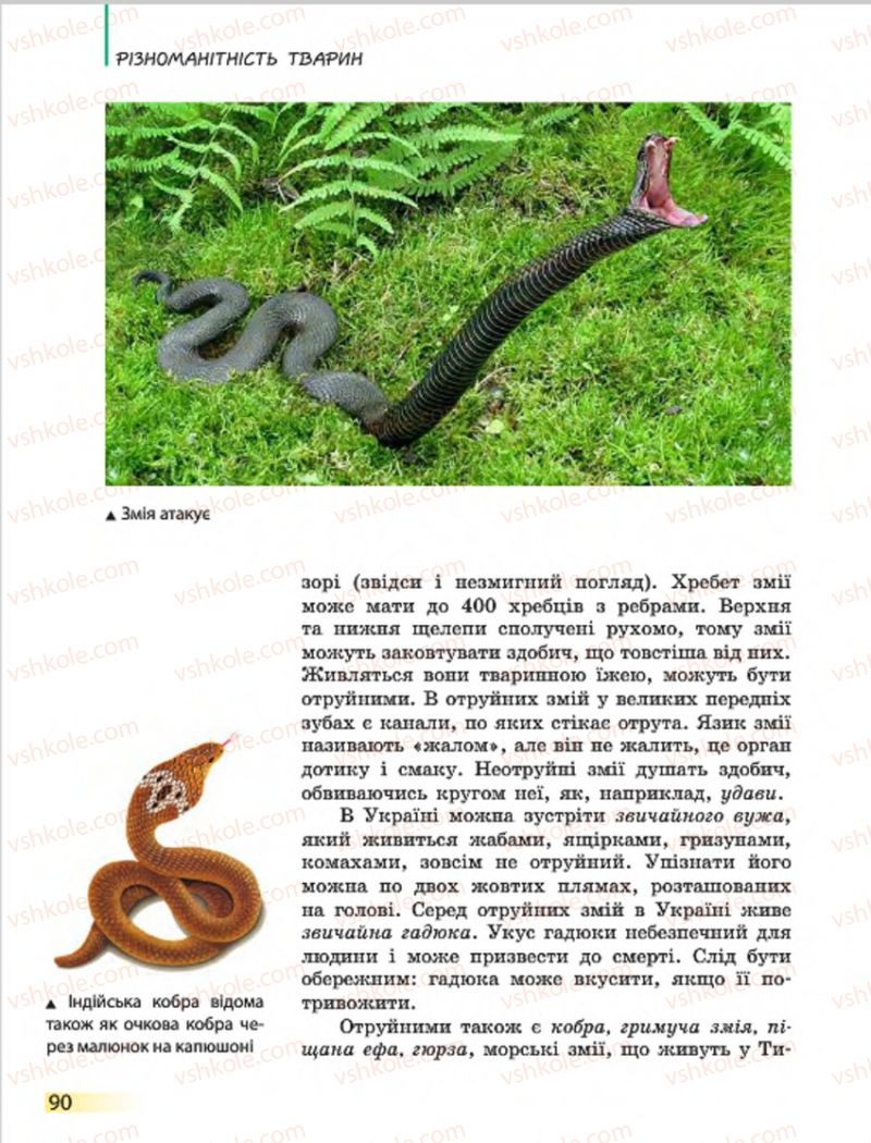 Страница 90 | Підручник Біологія 7 клас Н.В. Запорожець, І.І. Черевань, І.А. Воронцова 2015