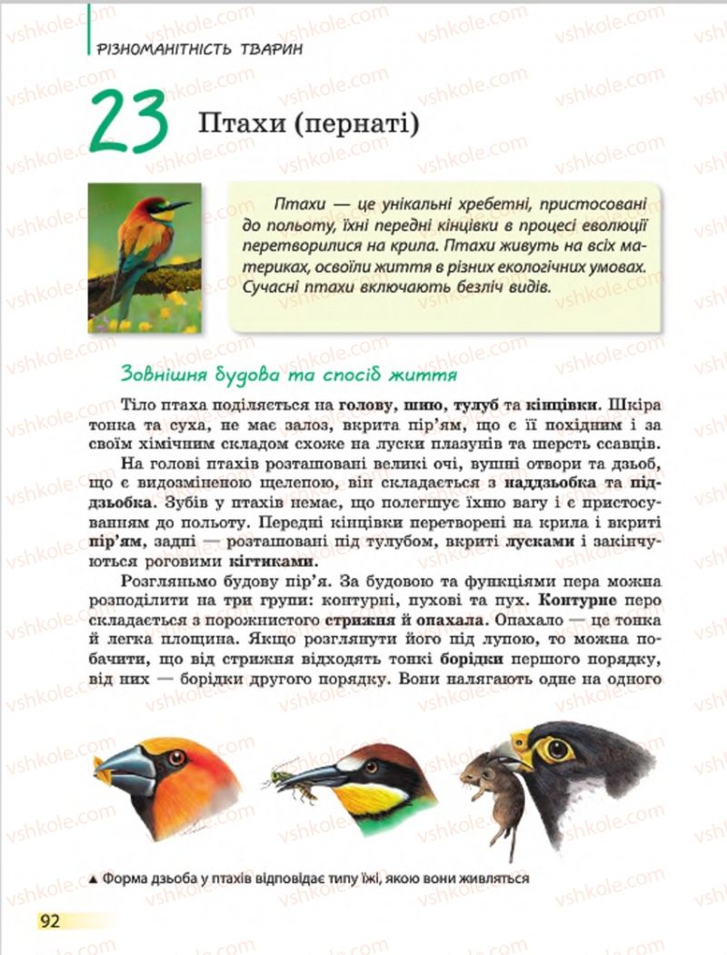 Страница 92 | Підручник Біологія 7 клас Н.В. Запорожець, І.І. Черевань, І.А. Воронцова 2015