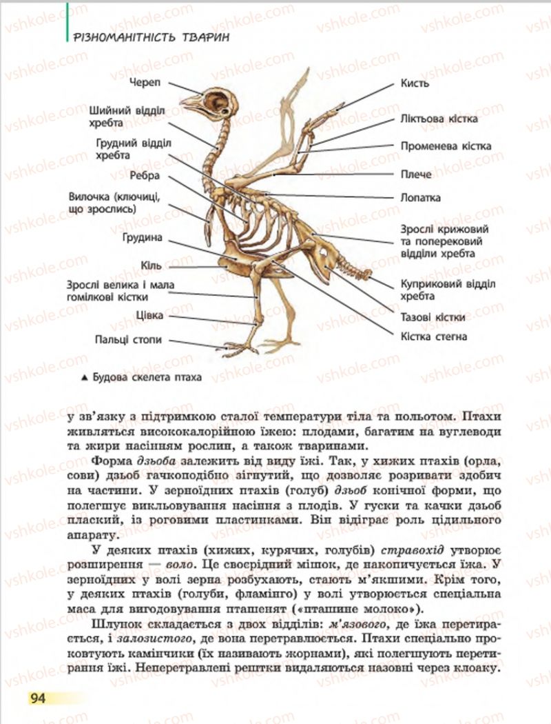Страница 94 | Підручник Біологія 7 клас Н.В. Запорожець, І.І. Черевань, І.А. Воронцова 2015