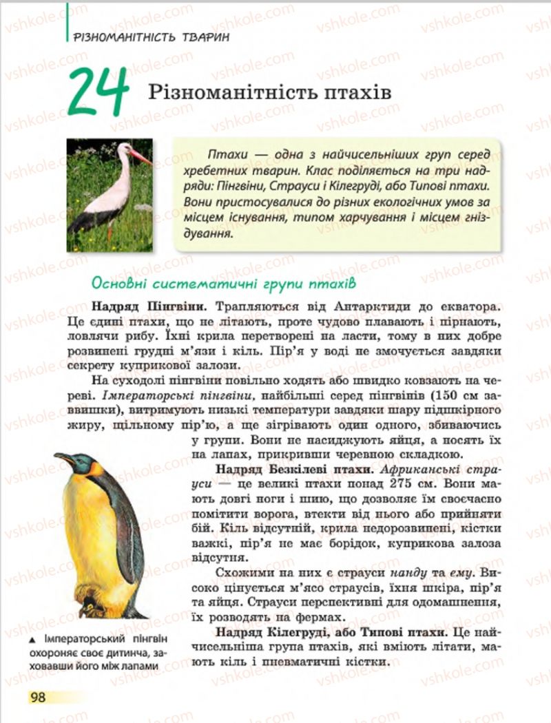 Страница 98 | Підручник Біологія 7 клас Н.В. Запорожець, І.І. Черевань, І.А. Воронцова 2015