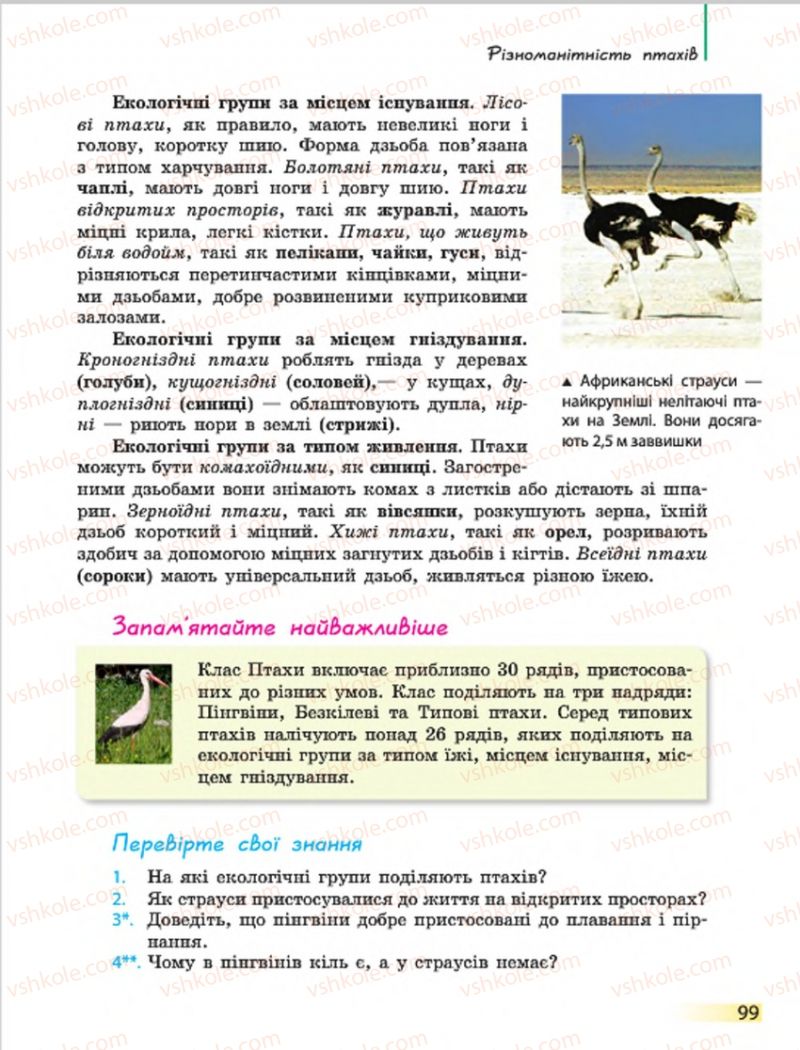 Страница 99 | Підручник Біологія 7 клас Н.В. Запорожець, І.І. Черевань, І.А. Воронцова 2015