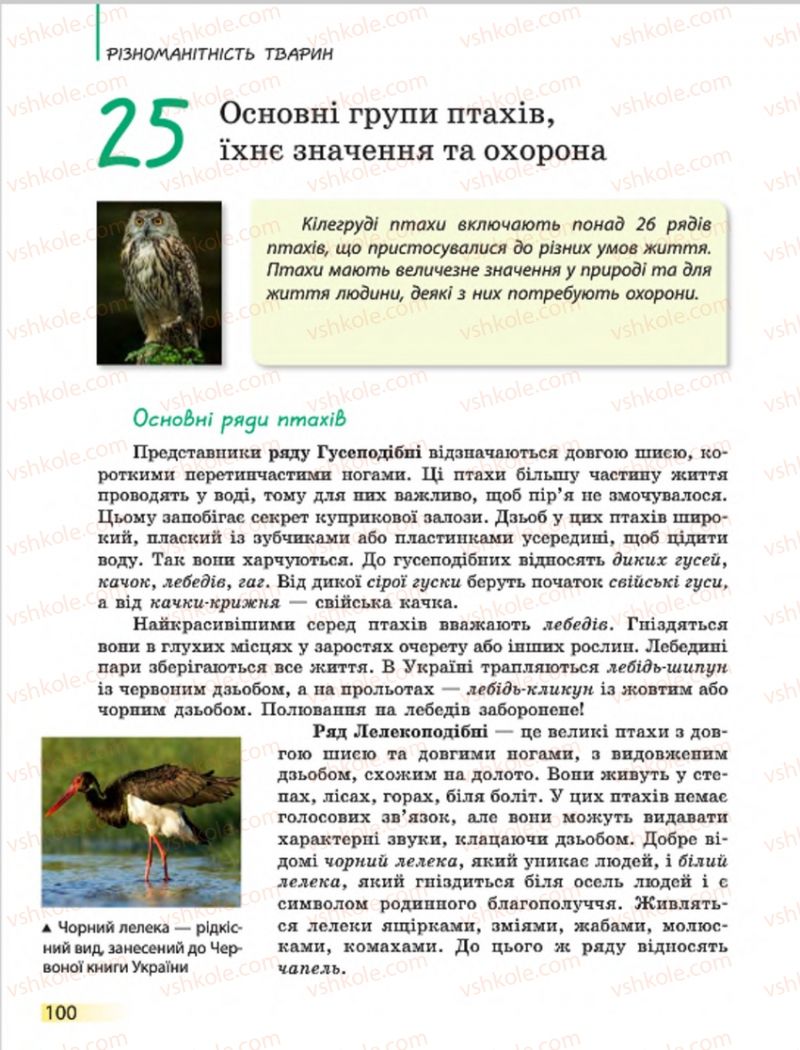 Страница 100 | Підручник Біологія 7 клас Н.В. Запорожець, І.І. Черевань, І.А. Воронцова 2015