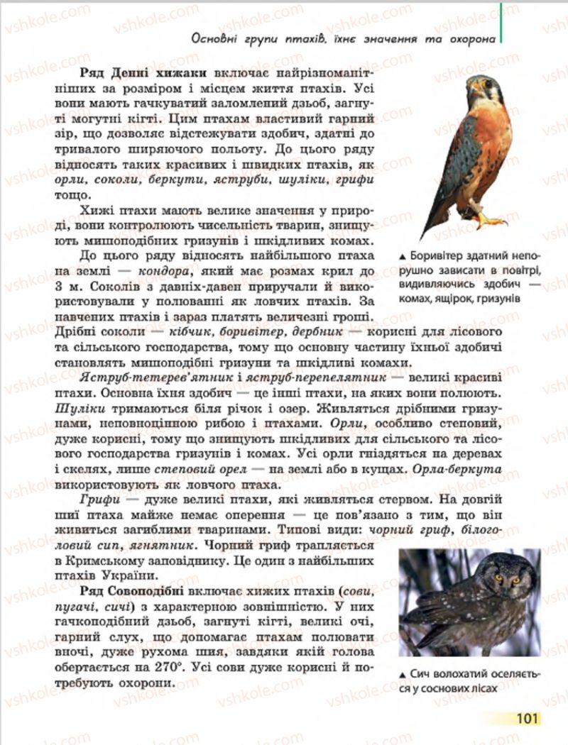 Страница 101 | Підручник Біологія 7 клас Н.В. Запорожець, І.І. Черевань, І.А. Воронцова 2015