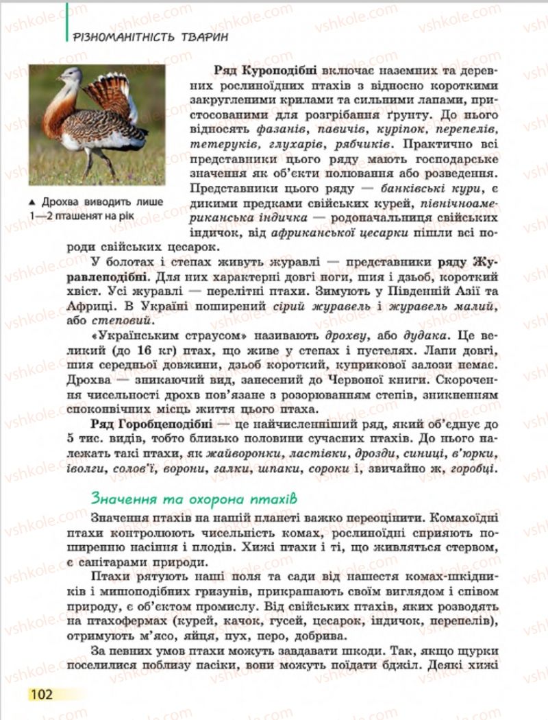 Страница 102 | Підручник Біологія 7 клас Н.В. Запорожець, І.І. Черевань, І.А. Воронцова 2015