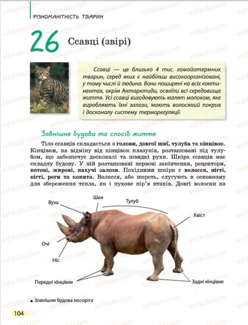 Страница 104 | Підручник Біологія 7 клас Н.В. Запорожець, І.І. Черевань, І.А. Воронцова 2015