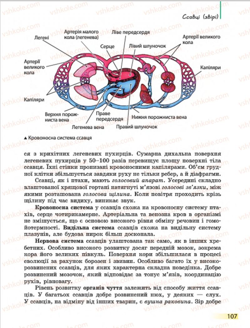 Страница 107 | Підручник Біологія 7 клас Н.В. Запорожець, І.І. Черевань, І.А. Воронцова 2015
