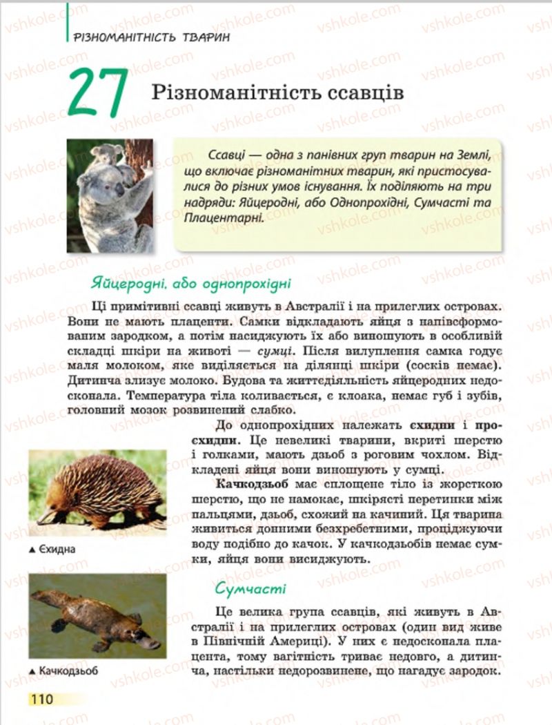 Страница 110 | Підручник Біологія 7 клас Н.В. Запорожець, І.І. Черевань, І.А. Воронцова 2015