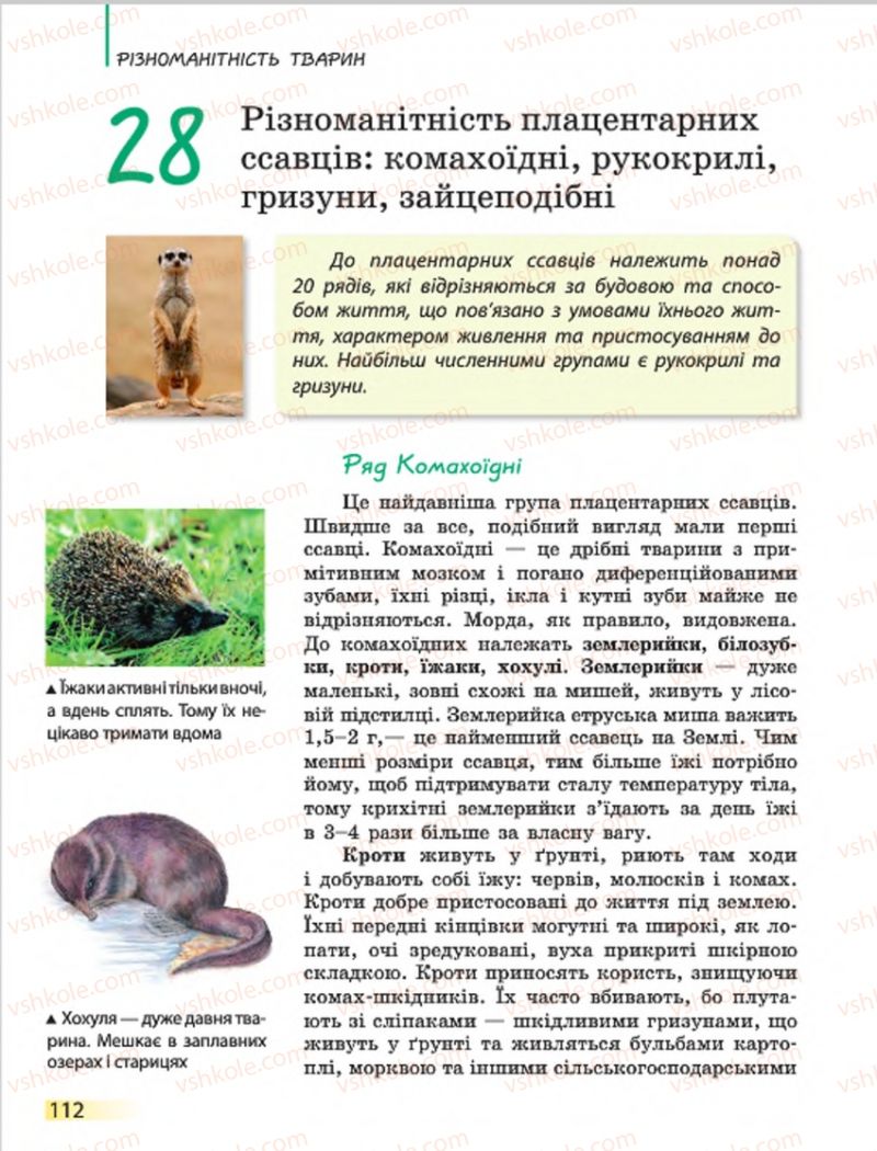 Страница 112 | Підручник Біологія 7 клас Н.В. Запорожець, І.І. Черевань, І.А. Воронцова 2015