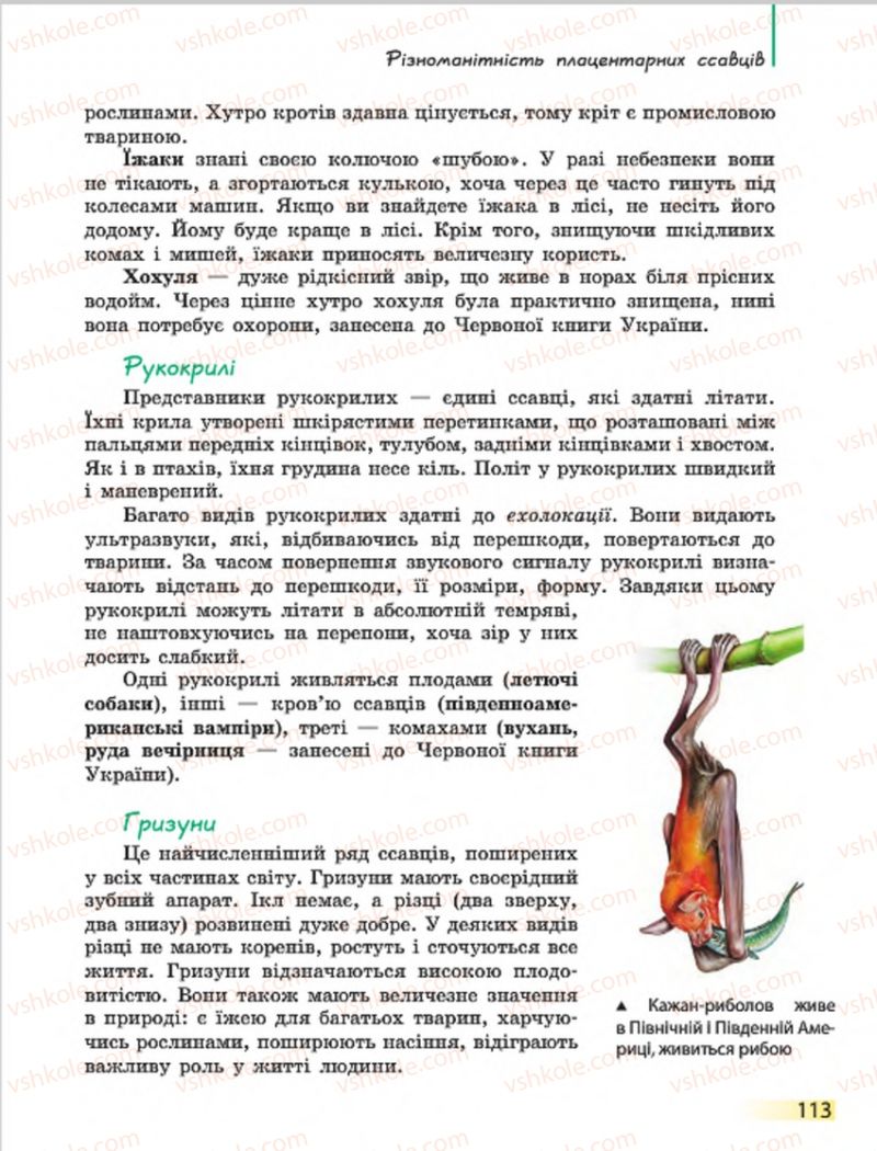Страница 113 | Підручник Біологія 7 клас Н.В. Запорожець, І.І. Черевань, І.А. Воронцова 2015