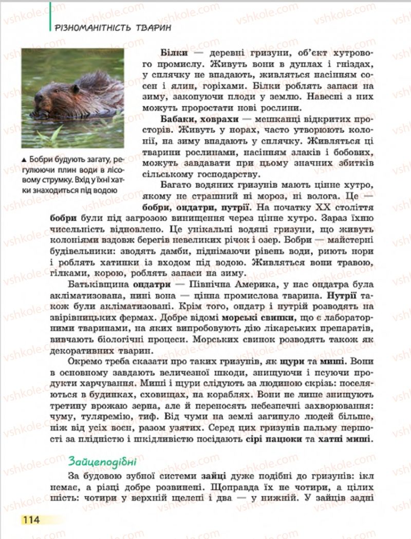 Страница 114 | Підручник Біологія 7 клас Н.В. Запорожець, І.І. Черевань, І.А. Воронцова 2015