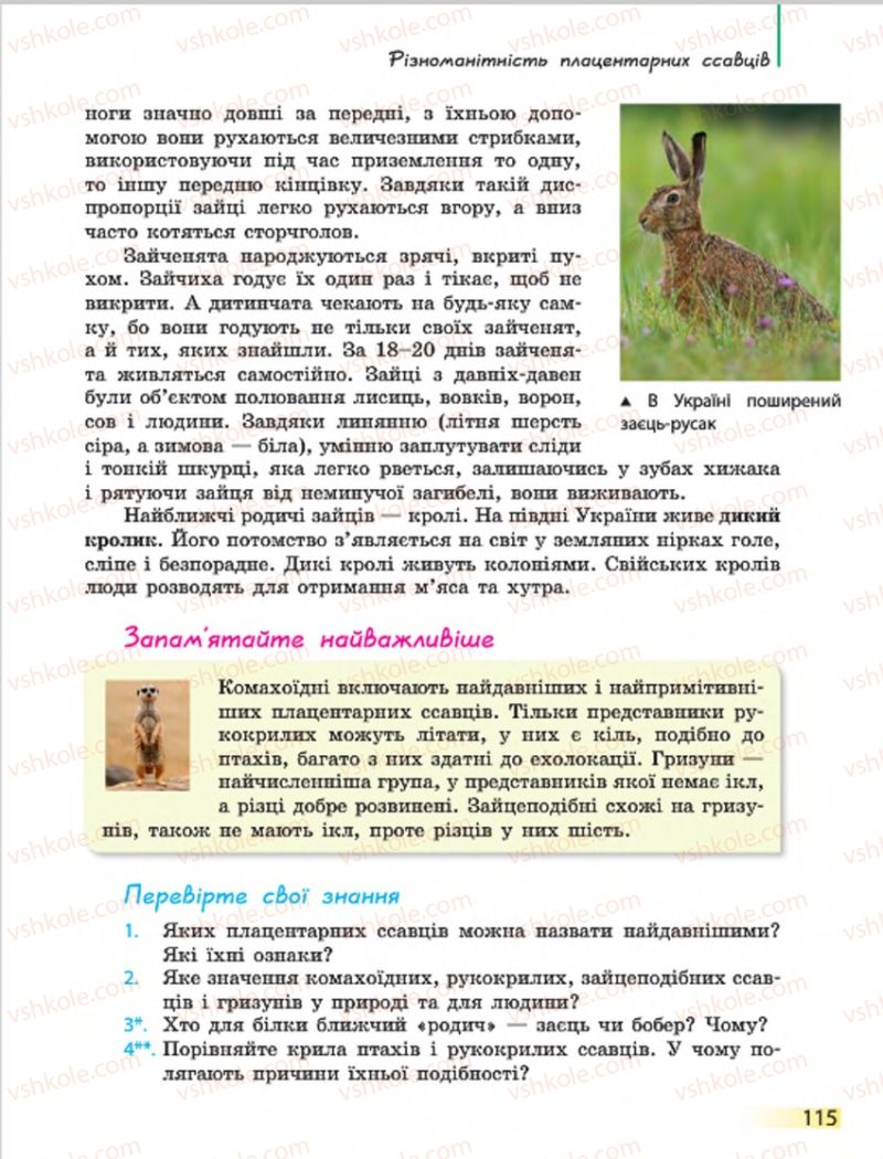 Страница 115 | Підручник Біологія 7 клас Н.В. Запорожець, І.І. Черевань, І.А. Воронцова 2015