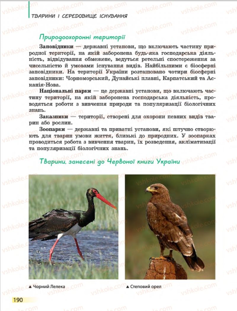 Страница 190 | Підручник Біологія 7 клас Н.В. Запорожець, І.І. Черевань, І.А. Воронцова 2015