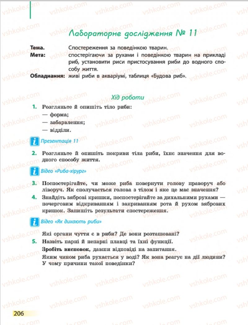 Страница 206 | Підручник Біологія 7 клас Н.В. Запорожець, І.І. Черевань, І.А. Воронцова 2015