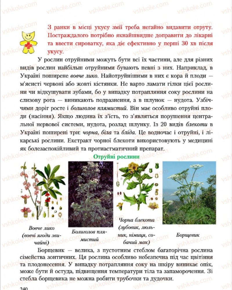 Страница 240 | Підручник Основи здоров'я 7 клас С.В. Василенко, Н.І. Гущина, Г.А. Коломоєць 2015