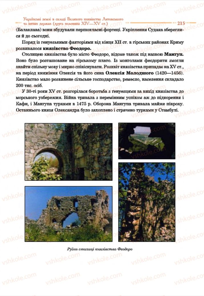 Страница 215 | Підручник Історія України 7 клас С.В. Гісем  2015