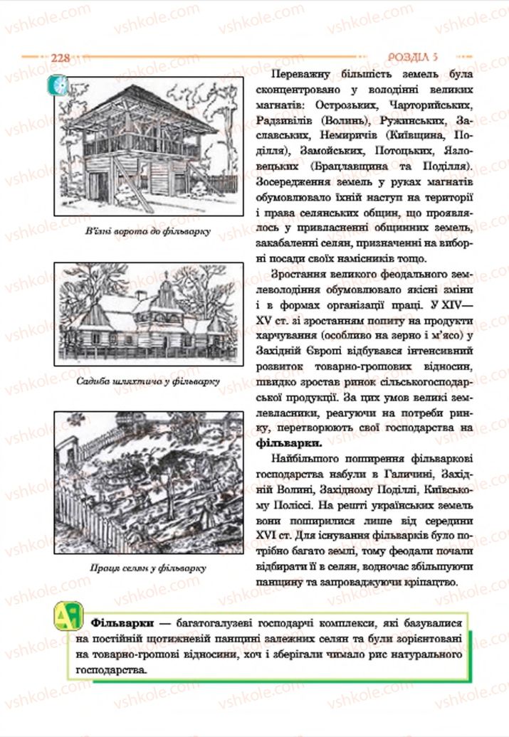 Страница 228 | Підручник Історія України 7 клас С.В. Гісем  2015