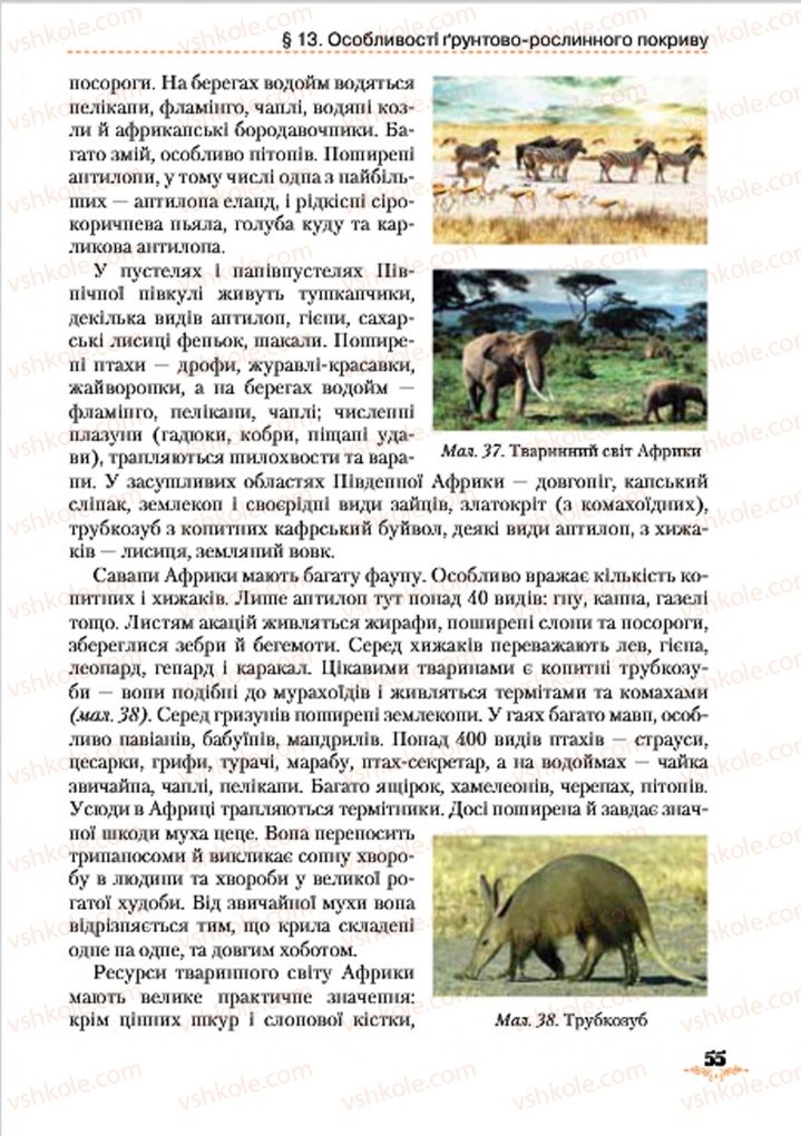 Страница 55 | Підручник Географія 7 клас Т.Г. Гільберг, Л.Б. Паламарчук 2015