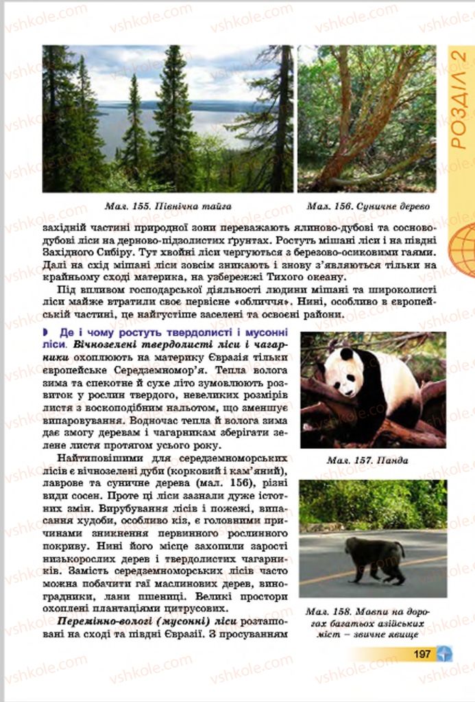Страница 197 | Підручник Географія 7 клас В.Ю. Пестушко, Г.Ш. Уварова 2015
