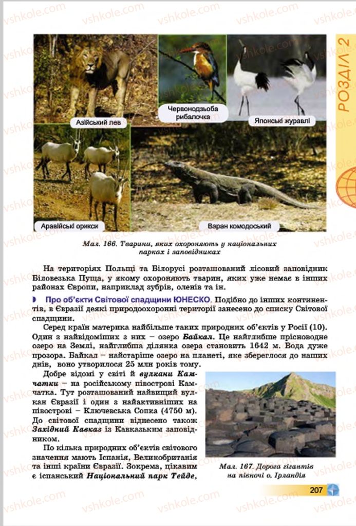 Страница 207 | Підручник Географія 7 клас В.Ю. Пестушко, Г.Ш. Уварова 2015