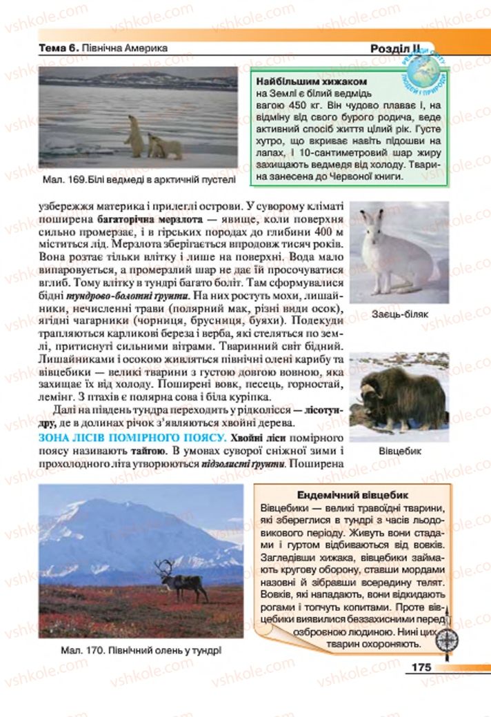 Страница 175 | Підручник Географія 7 клас В.М. Бойко, С.В. Міхелі 2015