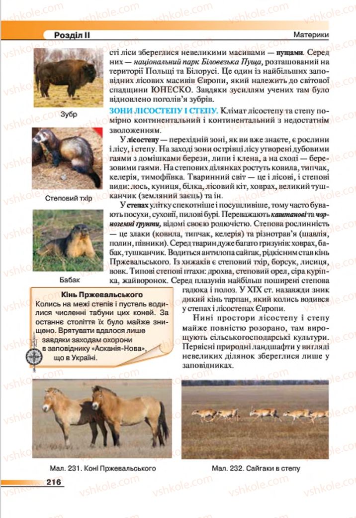 Страница 216 | Підручник Географія 7 клас В.М. Бойко, С.В. Міхелі 2015