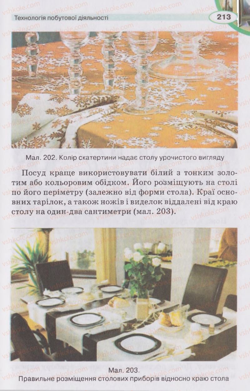 Страница 213 | Підручник Трудове навчання 5 клас В.К. Сидоренко, Д.В. Лебедев, А.М. Гедзик 2013 Для хлопців