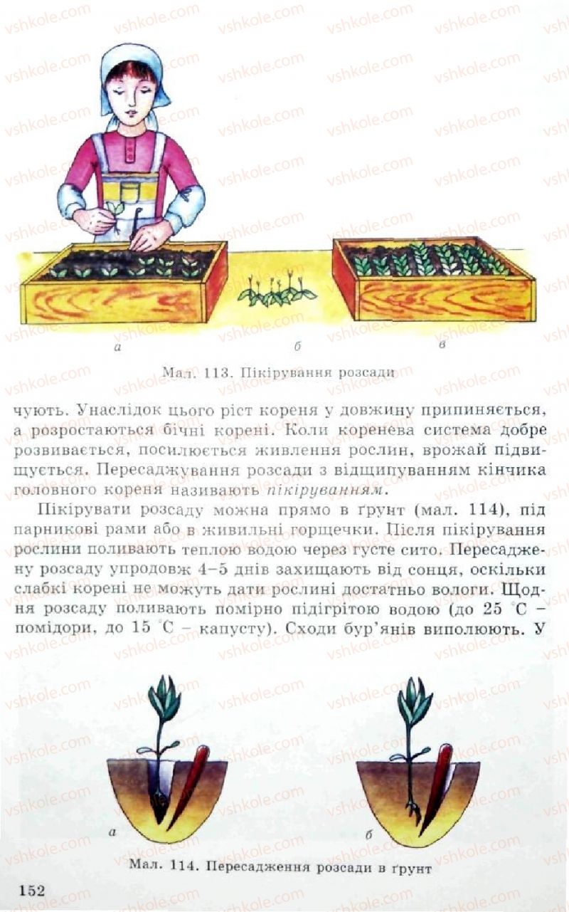 Страница 152 | Підручник Трудове навчання 5 клас Л.I. Денисенко, О.М. Романчук, О.П. Гнеденко 2005