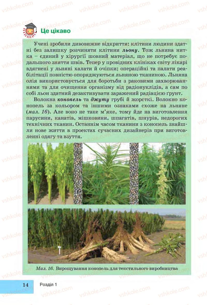 Страница 14 | Підручник Трудове навчання 6 клас І.Ю. Ходзицька, Н.М. Павич, О.В. Горобець 2014 Для дівчат